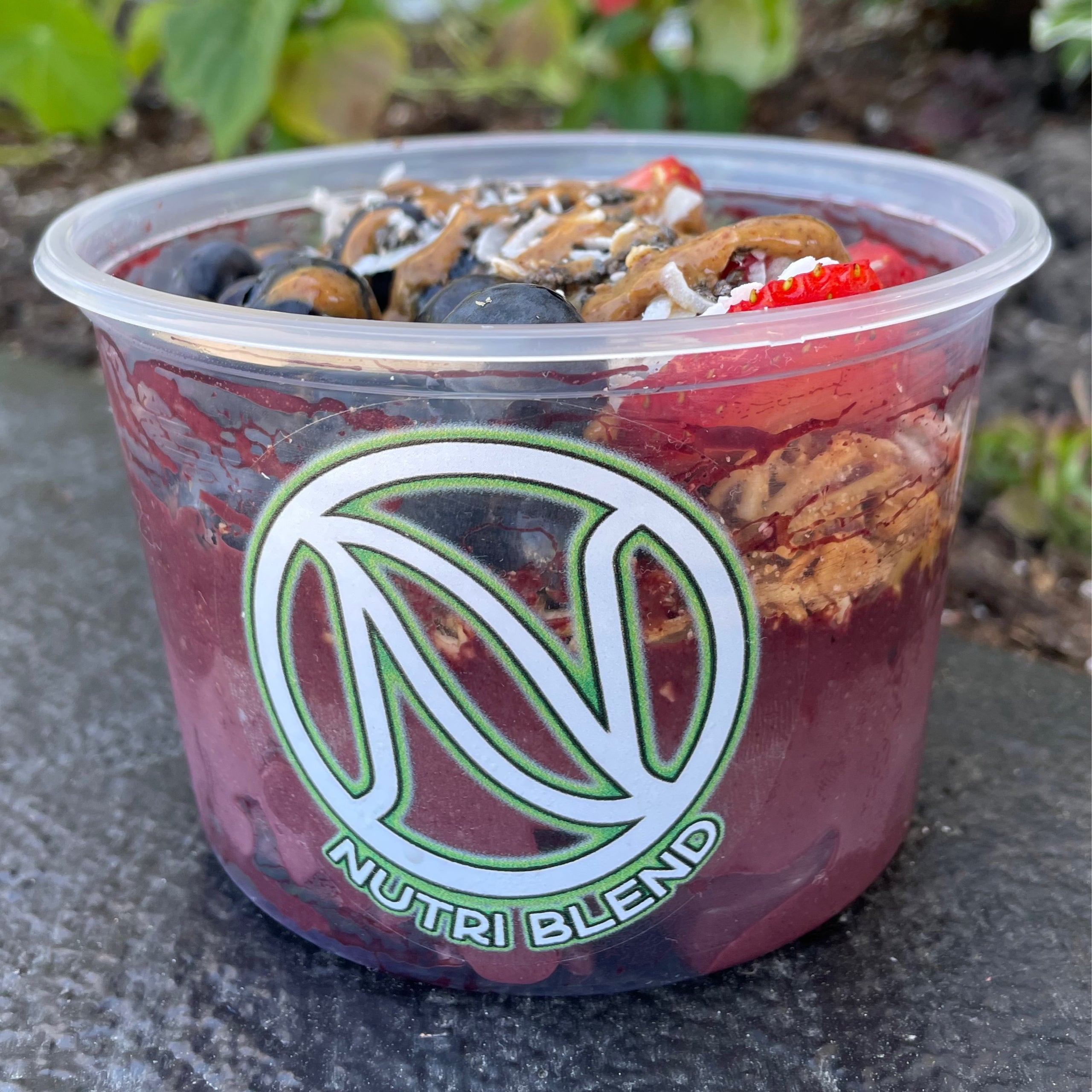 Nutri blend new arrivals